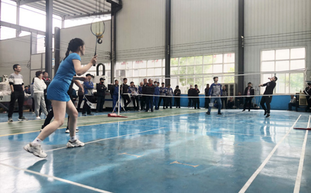體育運動展風采